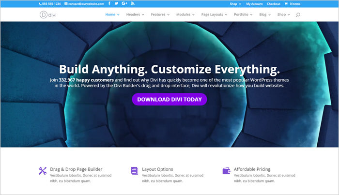 divi wordpress template