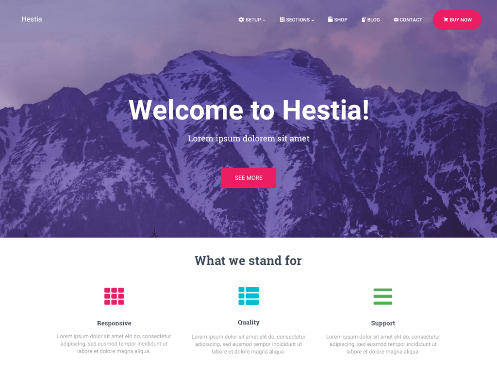 Hestia wordpress template