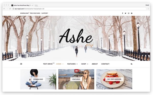 ashe wordpress template